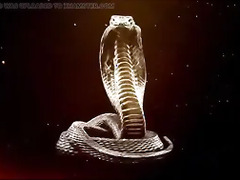 Black Door Adult Model Interview 2: Foxxxy Darlin: A Brief Preview